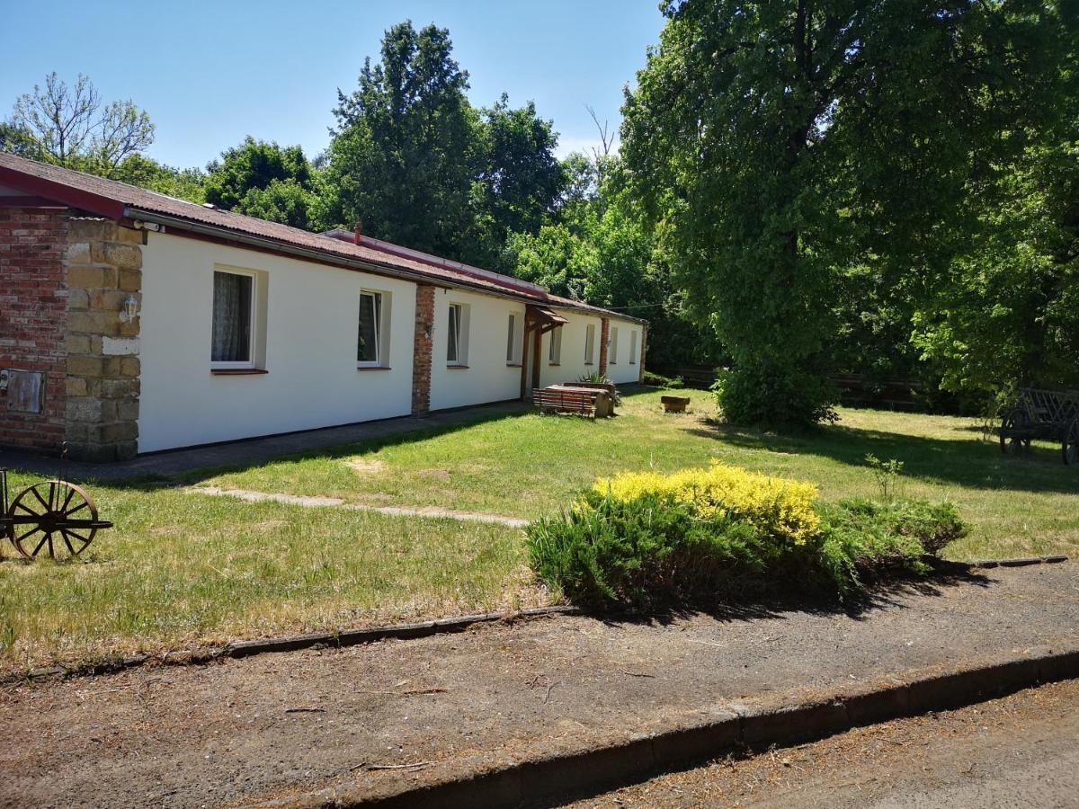 Green Apartments Lustenice Zewnętrze zdjęcie